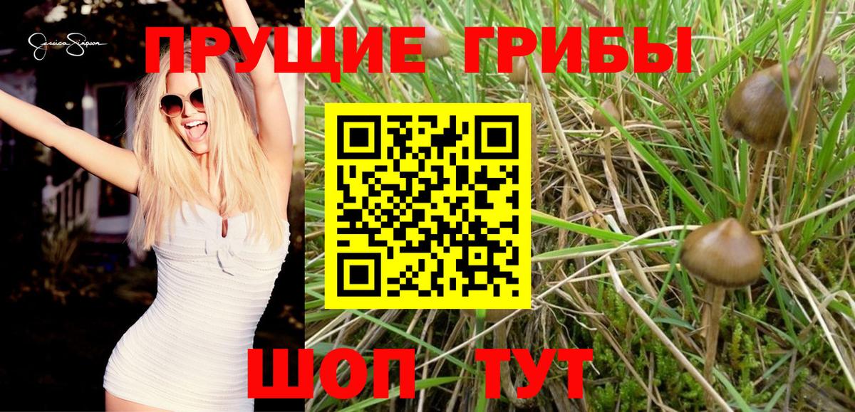 Галлюциногенные грибы MAGIC MUSHROOMS Тихвин