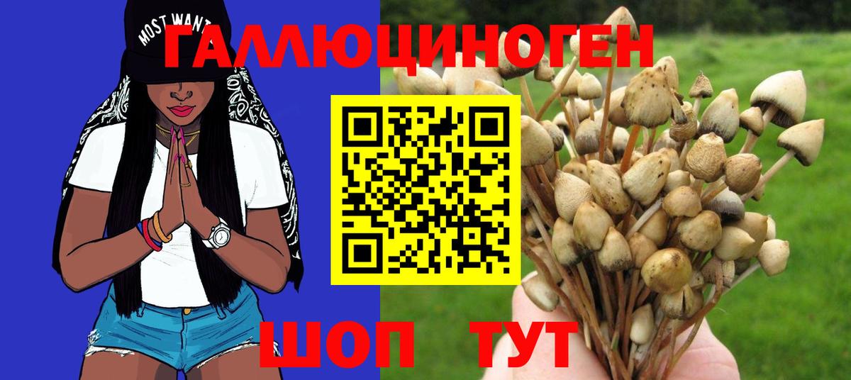 Тихвин  Псилоцибиновые грибы прущие грибы  где купить наркоту  Галлюциногенные грибы Psilocybine cubensis  Вход с VPN 